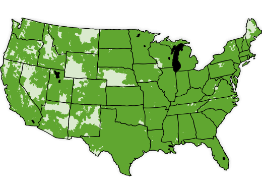 Cricket Wireless Coverage Map